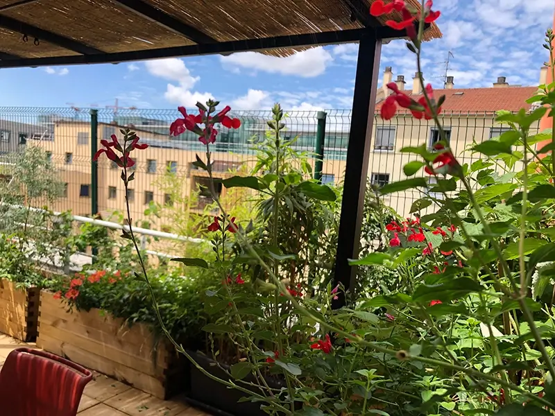 La terrasse de l'EHPAD Ma Demeure